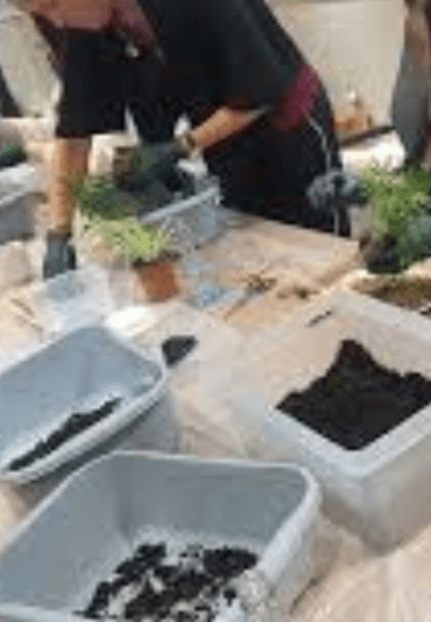 Kokedama Hanging Planter Workshop for Beginners