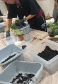 Kokedama Hanging Planter Workshop for Beginners