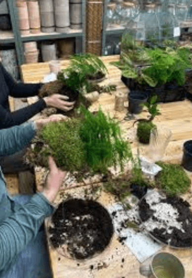 Kokedama Hanging Planter Workshop for Beginners