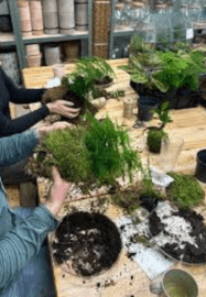 Kokedama Hanging Planter Workshop for Beginners