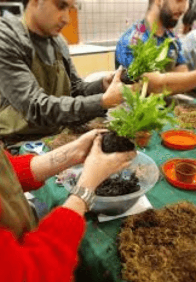 Kokedama Hanging Planter Workshop for Beginners