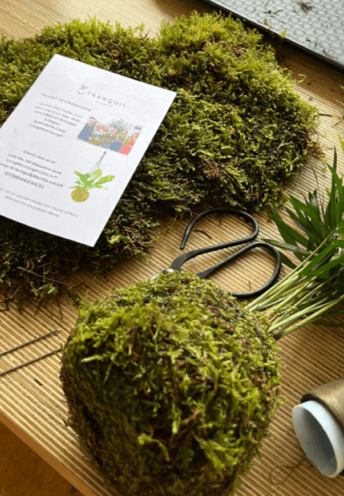 Kokedama Plant Workshop