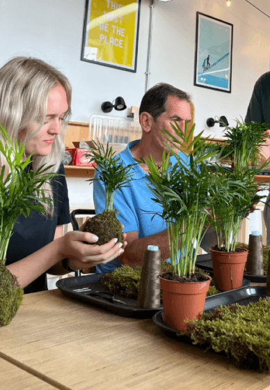Kokedama Plant Workshop