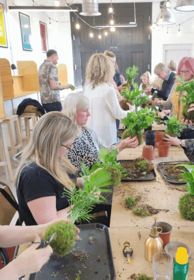 Kokedama Plant Workshop