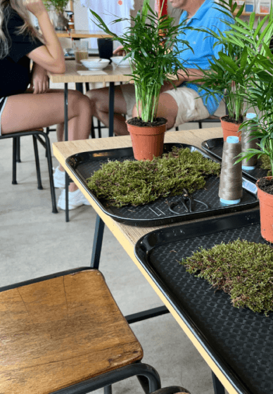 Kokedama Plant Workshop