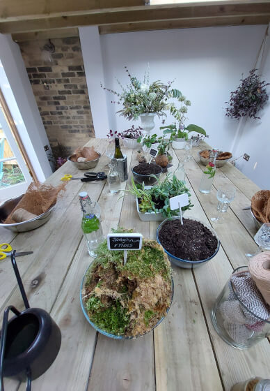 Kokedama Workshop