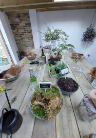 Kokedama Workshop