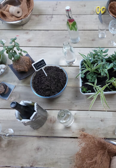 Kokedama Workshop