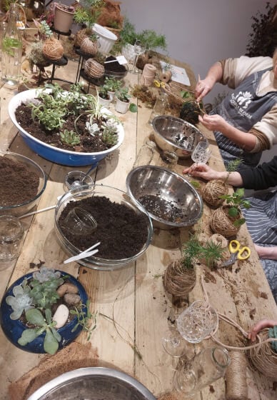 Kokedama Workshop