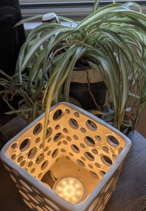 Lamp Making Pottery Workshop