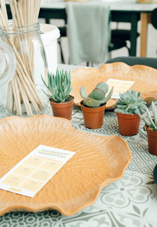 Large Terrarium Workshop