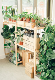 Large Terrarium Workshop