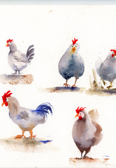 Learn How to Paint in Watercolour - Workshop