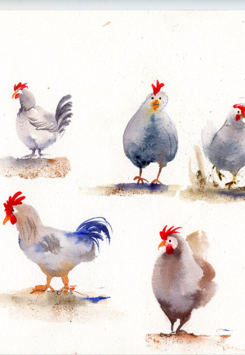 Learn How to Paint in Watercolour - Workshop