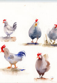 Learn How to Paint in Watercolour - Workshop