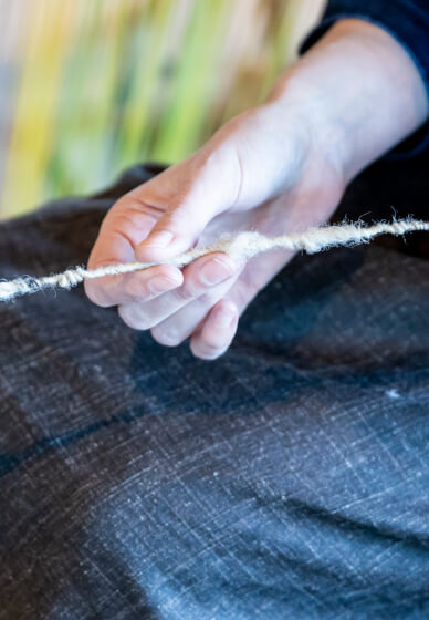 Learn to Spin Wool Workshop