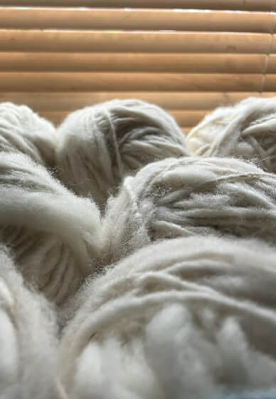 Learn to Spin Wool Workshop