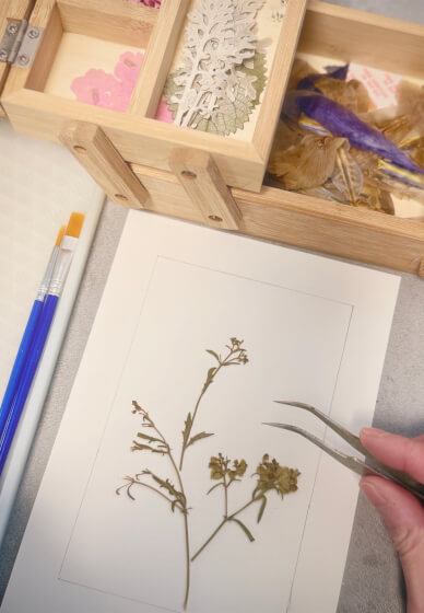 Leeds Exclusive - Pressed Sakura Frame Making Workshop