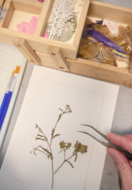 Leeds Exclusive - Pressed Sakura Frame Making Workshop