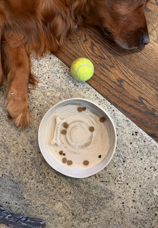 Little Paw, Big Love: Pet Bowl Ceramics Experience