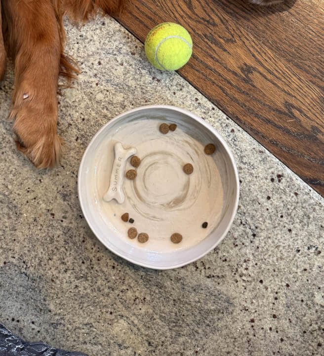 Little Paw, Big Love: Pet Bowl Ceramics Experience