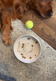 Little Paw, Big Love: Pet Bowl Ceramics Experience