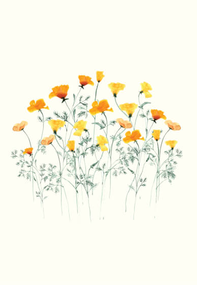 Loose Flowers with Gold Accents: Watercolour Workshop