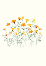 Loose Flowers with Gold Accents: Watercolour Workshop