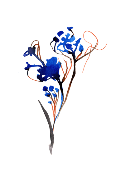 Loose Flowers with Gold Accents: Watercolour Workshop