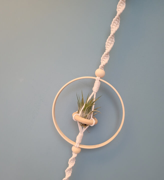 Macrame Air Plant Hanger Workshop for Beginners