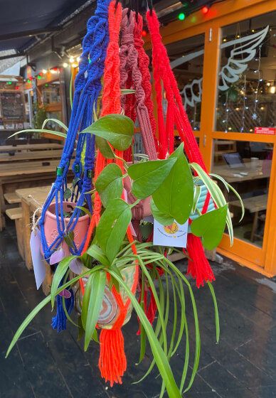 Macrame Workshop: Ready to Hang Mini Plant Hanger
