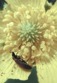Macro Experience Photography Workshop