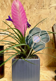 Make a Plant Stake - Stained Glass Workshop