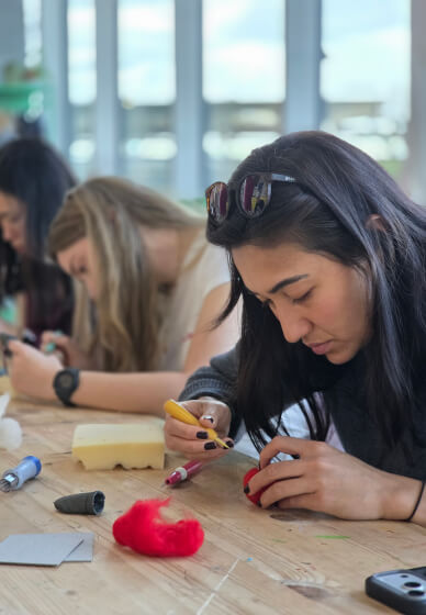 Make Your Own Needlefelt Mushroom Workshop