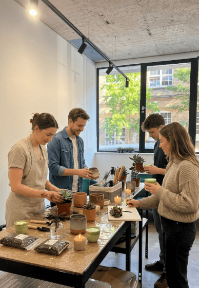 Matcha and Plant Workshop
