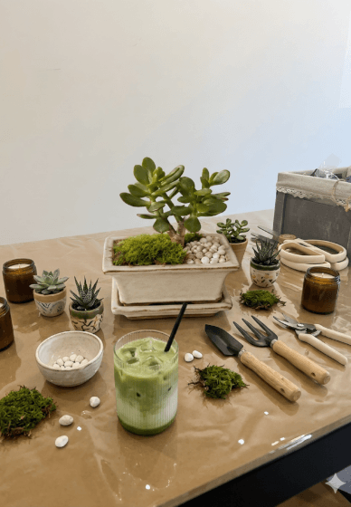 Matcha and Plant Workshop