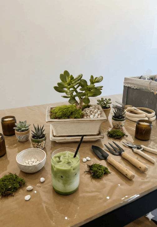 Matcha and Plant Workshop
