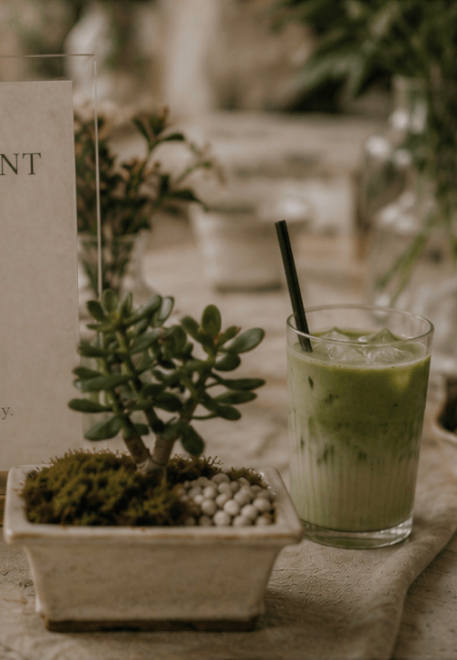 Matcha and Plant Workshop