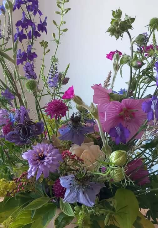 Meet the Grower - Tour / Talk / PYO / Demonstration