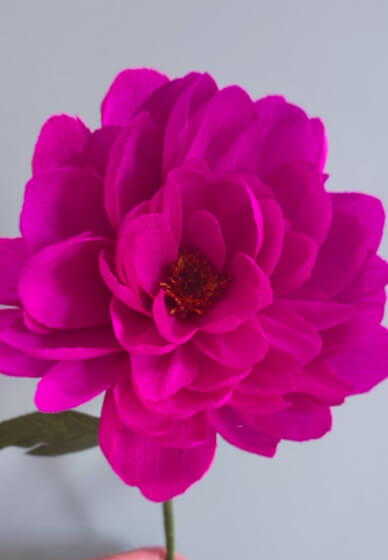 Mindful Crepe Paper Peony Making Workshop