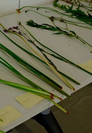 Mindful Floral Weaving Workshop