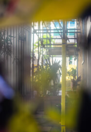 Mindful Walk Photography Workshop: Brighton