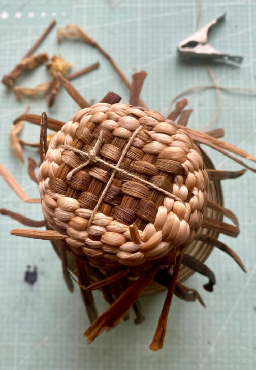 Miniature Daffodil Basket Weaving Workshop