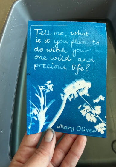 Mixed Media Cyanotype Taster Workshop