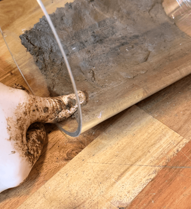 Moss Wall Terrarium Workshop