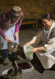 Natural Dye and Foraging Summer Course