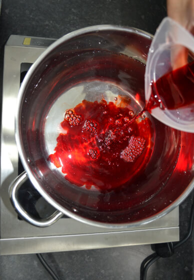 Natural Dyeing 2-Day Workshop - Protein and Cellulose Fibres