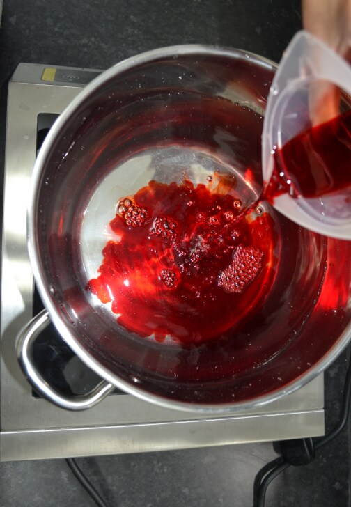 Natural Dyeing 2-Day Workshop - Protein and Cellulose Fibres