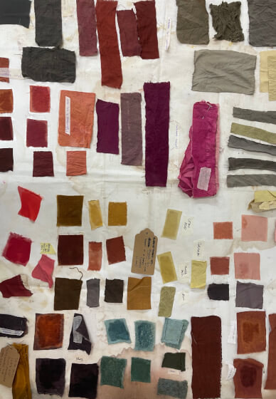 Natural Dyeing Workshop: Expand Your Colour Palette