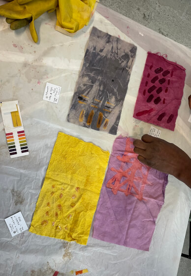 Natural Dyeing Workshop: Expand Your Colour Palette